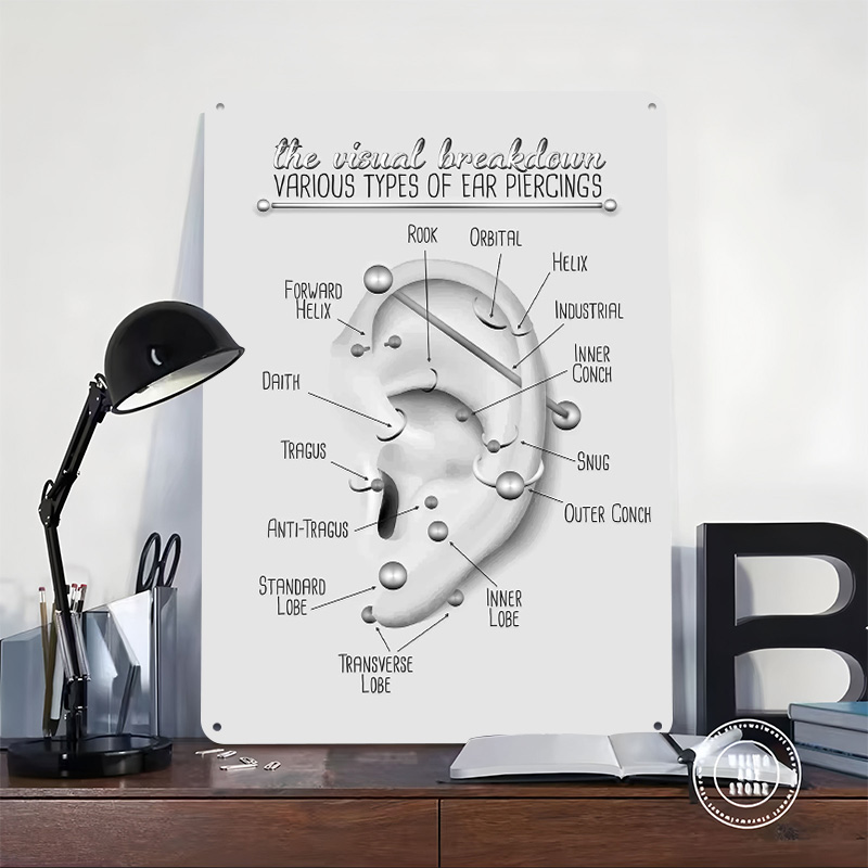 귀 피어싱 차트 금속 포스터 맞춤형 벽 장식 레트로 빈 - Desk Setup Poster 리뷰 및 가격